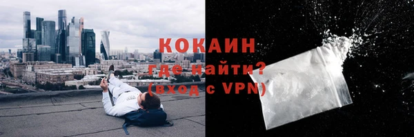 стаф Гвардейск