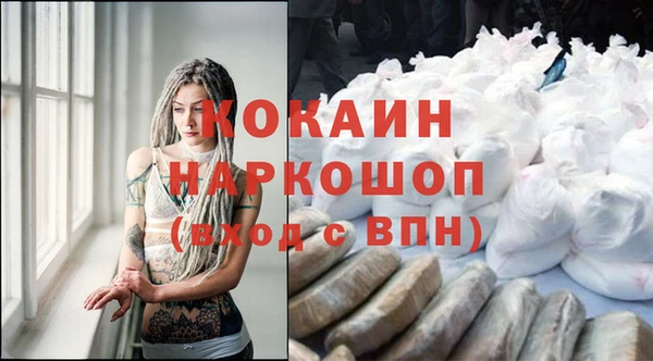 spice Губаха